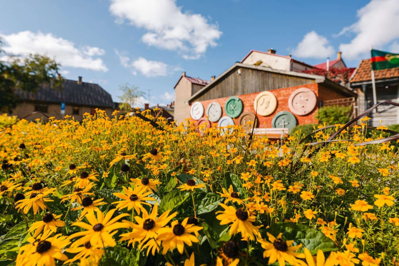 image image - 2025-11-21T150310.554.jpg